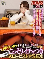 オナニー❤【VR】正月からコタツの中で！すっかりエロい体に成長した僕に気を許しまくりな従妹と【バレ注意】のこっそりイチャつきスローピストンSEX！ 香坂紗梨｜13dsvr00192