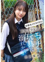 ハメ撮り❤放課後はお泊りSEX。制服美少女はエッチな玩具に溺れたい 北岡果林｜sqte00630